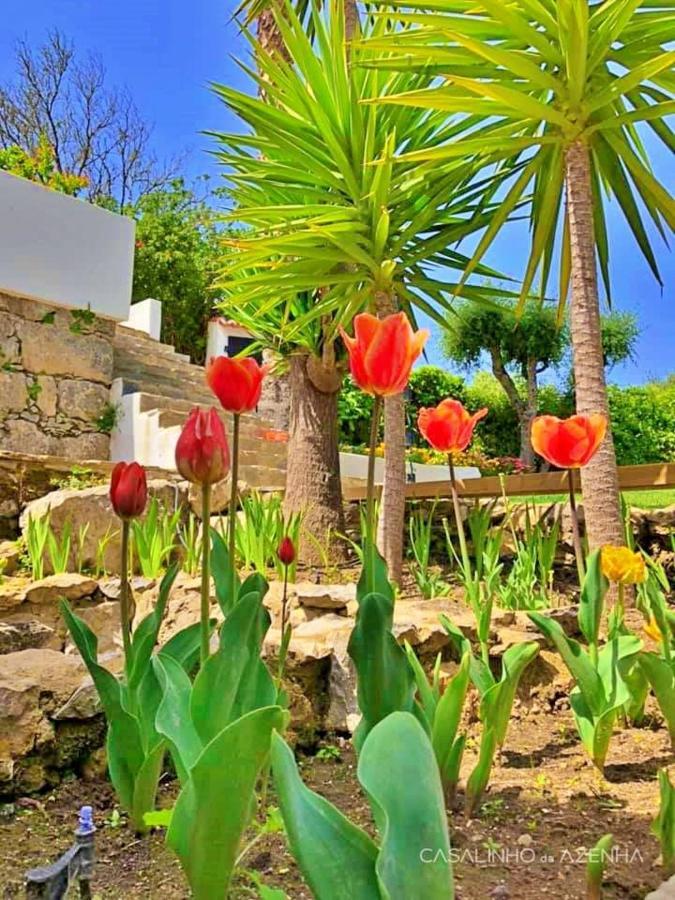 Suite Hortênsia - Quinta Casalinho da Azenha Sintra Extérieur photo